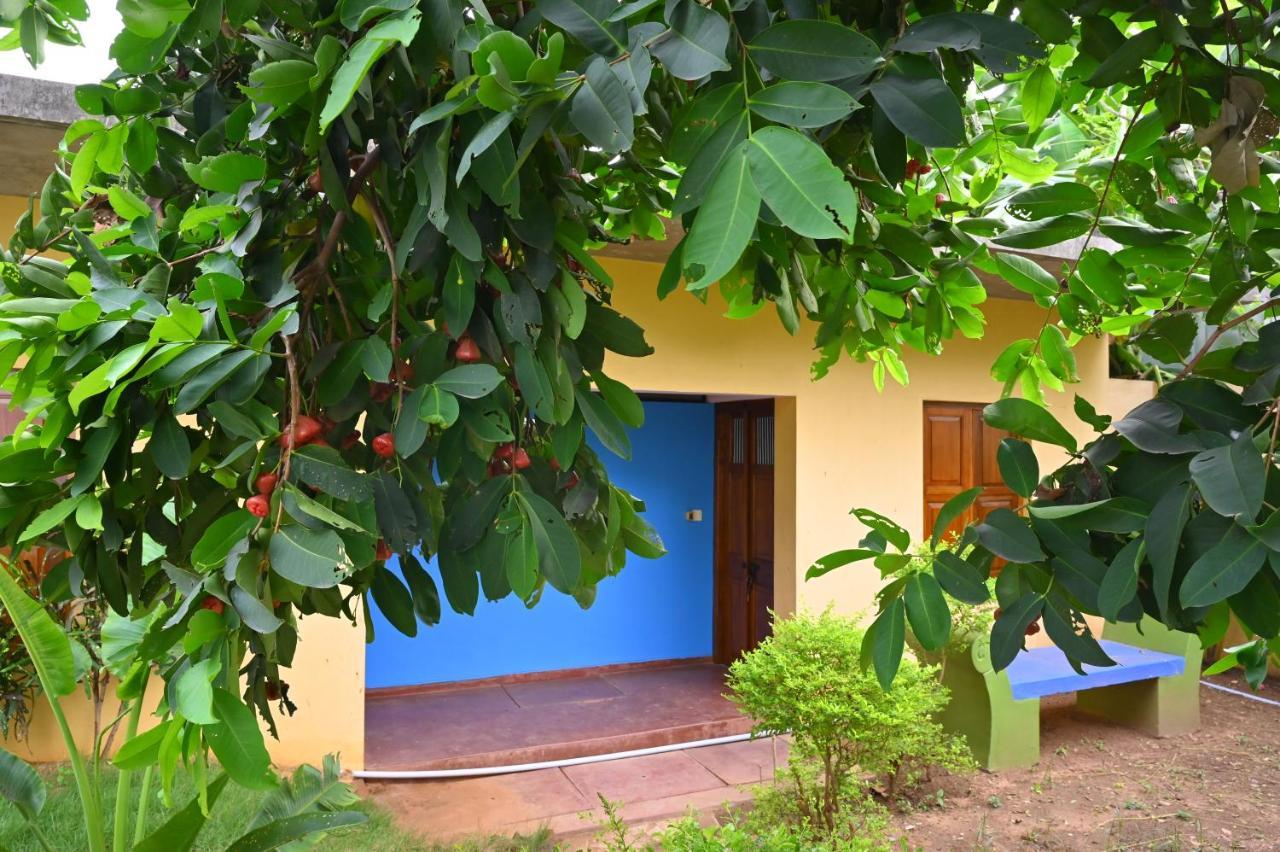 Les Boganveillea Heritage Guest House Όρβιλ Εξωτερικό φωτογραφία